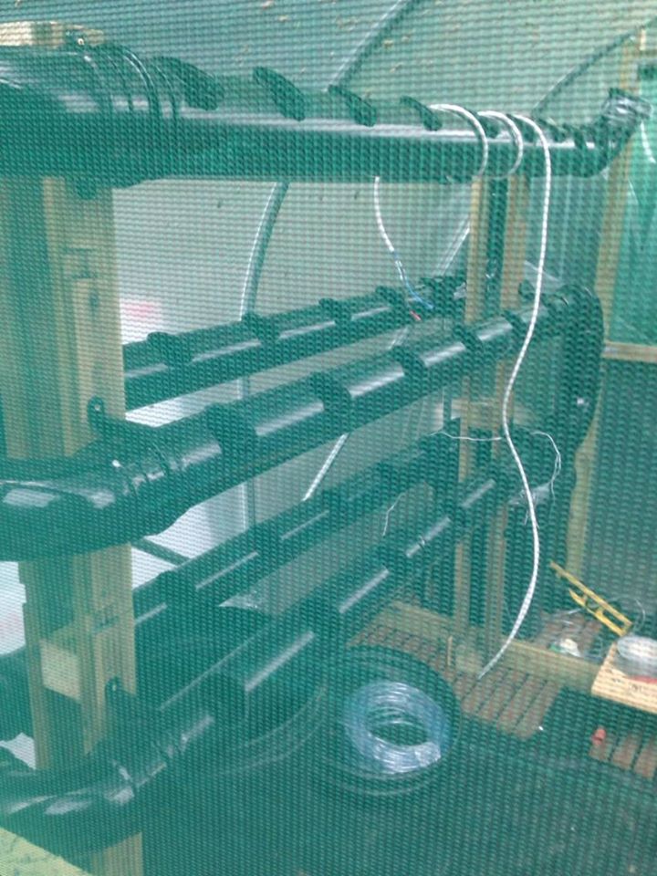 View inside Polytunnel